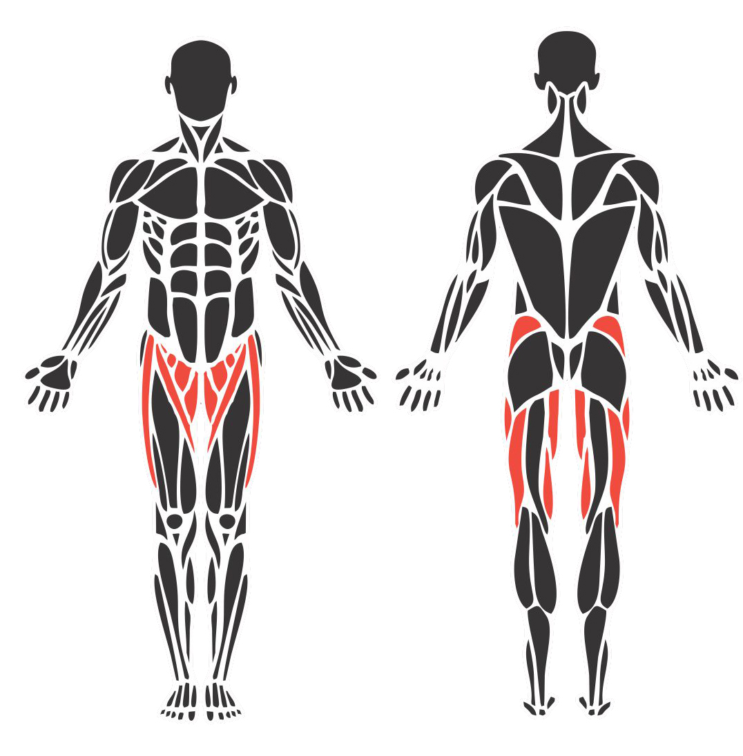 Banco Adutor Abdutor Conjugado