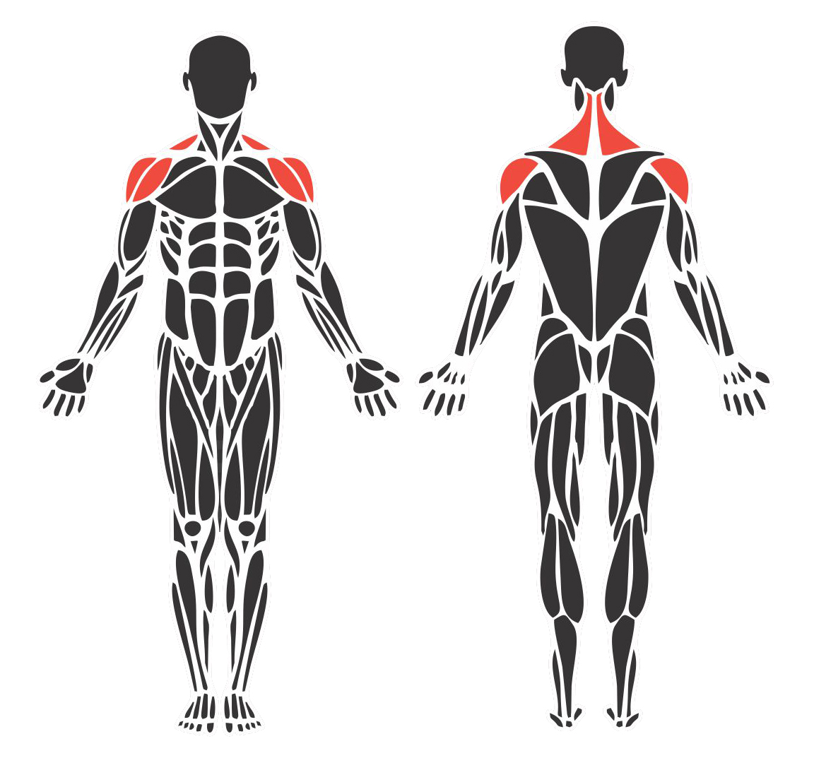 Desenvolvimento Unilateral