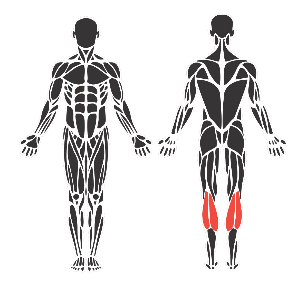 Panturrilha Vertical