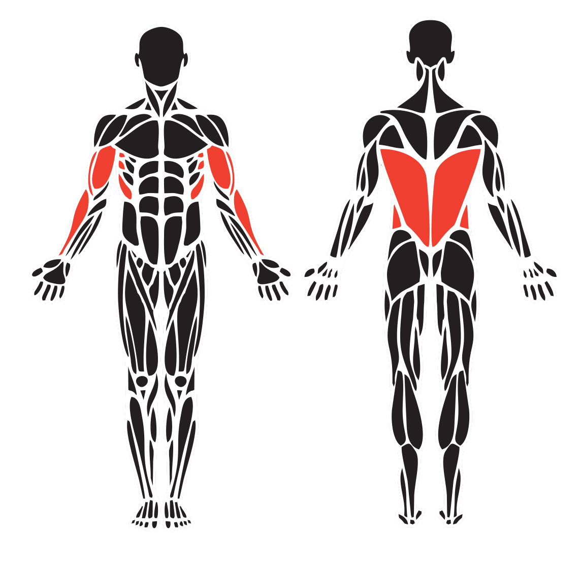 Polia Superior e Inferior