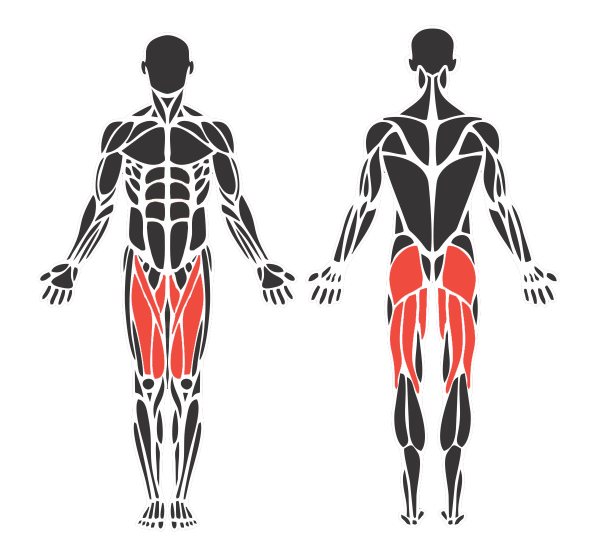 Leg Press Regulável